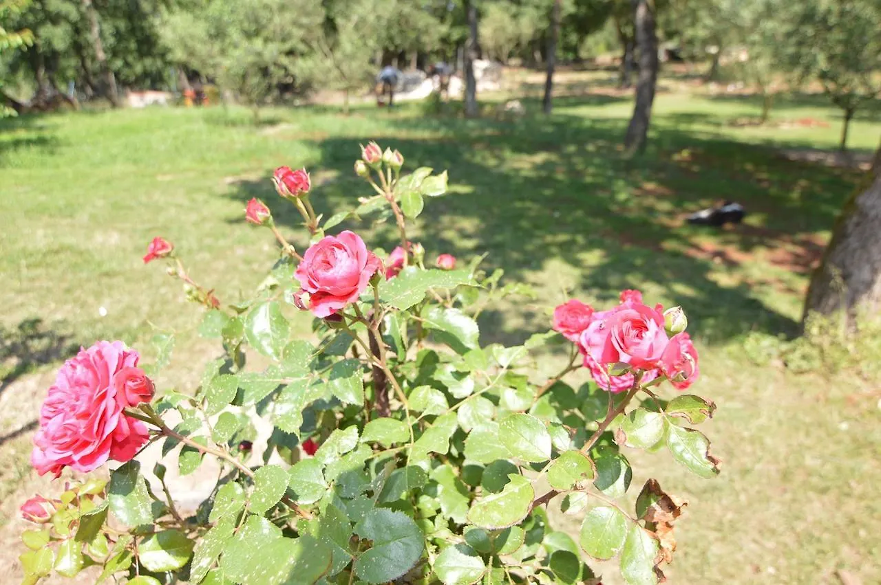 Hotel Natura Vilanija